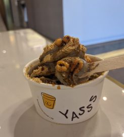 Yasss Ice Cream Lab