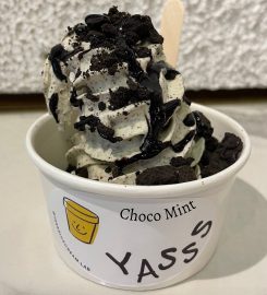 Yasss Ice Cream Lab