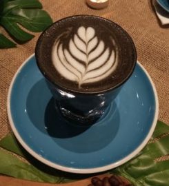 Djournal Coffee 