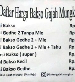 Bakso Gajah Mungkur Mas Bejo Wonogiri