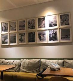 Honu Poke & Matcha Bar 